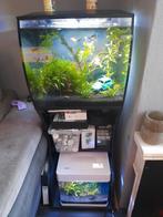 Aquaruim met kast, Dieren en Toebehoren, Vissen | Aquaria en Toebehoren, Ophalen, Gebruikt