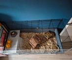 Konijn of cavia kooi, Kooi, Cavia, Zo goed als nieuw, Ophalen