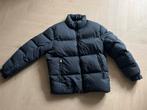 Tommy Hilfiger Winterjas Heren - Maat M - Nieuw!, Tommy Hilfiger, Nieuw, Verzenden, Maat 48/50 (M)