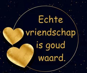 Stel zoekt ander stel voor een fijne vriendschap. beschikbaar voor biedingen