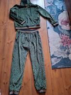 Pb pak groen fluweel maat m l, Kleding | Dames, Ophalen of Verzenden, Zo goed als nieuw, Maat 38/40 (M), Groen