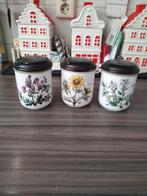 Botanica Villeroy & Boch Kruidenpotjes (3), Ophalen of Verzenden