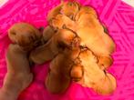 Bordeaux dog pups bordeauxdogpups gekeurd ubn, 15 weken tot 1 jaar, Overige rassen, HCC (leverziekte), Meerdere dieren
