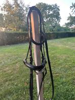 Hoofdstel maat cob met enkel gebroken bit, Ophalen of Verzenden, Gebruikt, Dressuur