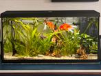 110L Juwel Primo 2.0 - used, comes with accessories, Dieren en Toebehoren, Vissen | Aquaria en Toebehoren, Ophalen, Zo goed als nieuw