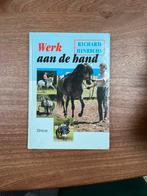 Werk aan de hand - Richard Hinrichs, Ophalen of Verzenden, Gelezen, Overige onderwerpen