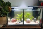 Aquaria - Qubiq 30L pro - 2 stuks, Dieren en Toebehoren, Vissen | Aquaria en Toebehoren, Ophalen, Zo goed als nieuw, Leeg aquarium