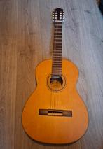 Klassieke gitaar Motion, Muziek en Instrumenten, Ophalen of Verzenden, Gebruikt, Klassieke of Spaanse gitaar