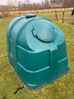 Te koop  iglo schapen varkens kalveren bieden canaf €200,00, Dieren en Toebehoren