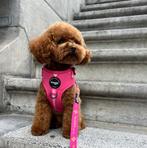 Woofs & Co honden tuigjes diverse maten rood en roze, Ophalen of Verzenden, Nieuw