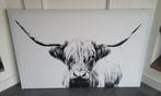 Schotse hooglander Ikea Björksta koe met horens 118x78, Ophalen, Zo goed als nieuw, Schilderij, 100 tot 125 cm