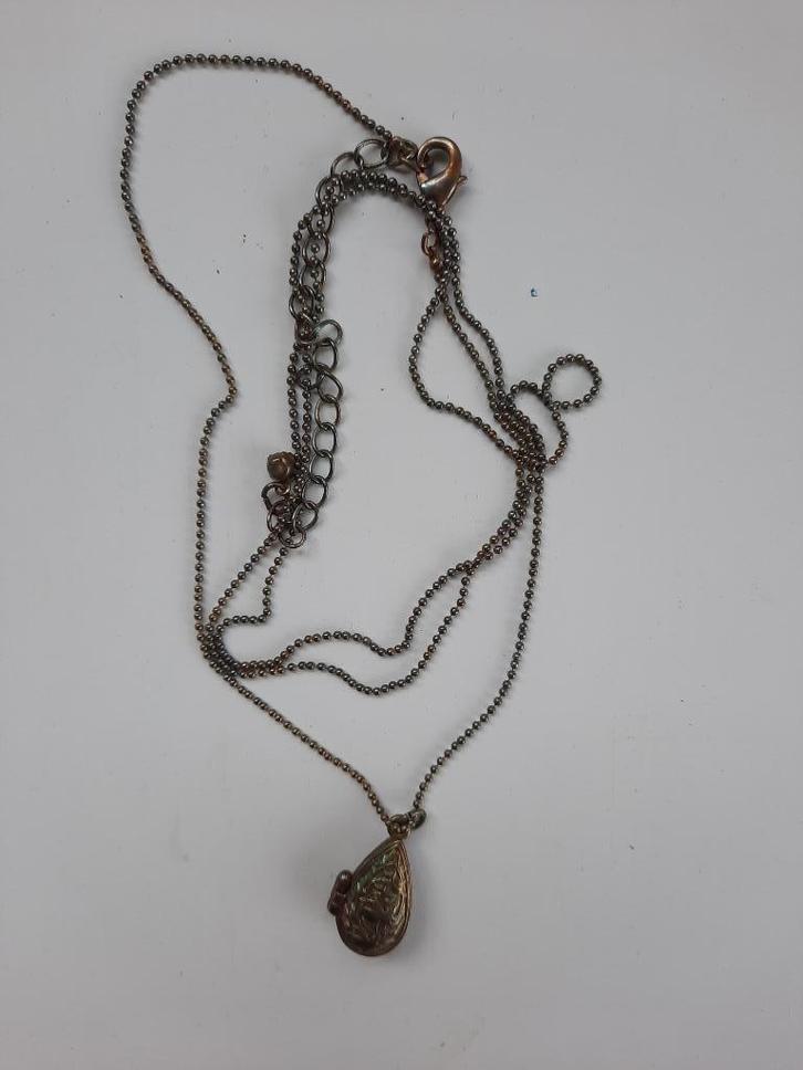 Ketting met medaillon, Sieraden, Tassen en Uiterlijk, Kettingen, Overige materialen, Zilver, Ophalen of Verzenden