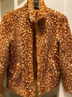 HEMA BAMBI PRINT BONT TEDDY JAS, MAAT: 146/152, Meisje, Ophalen of Verzenden, Zo goed als nieuw, Hema