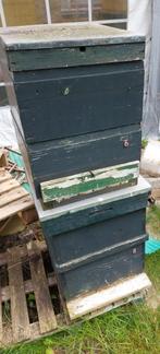 Bijenkast te koop, Dieren en Toebehoren, Insecten en Spinnen, Bijen