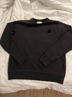 Sweater Isabel Marant Etoile mt 38 zgan, Ophalen of Verzenden, Zo goed als nieuw, Grijs