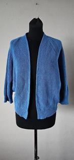 blauw vest van Bellamy maat m (72225), Kleding | Dames, Verzenden, Zo goed als nieuw, Maat 38/40 (M), Blauw