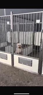 Honden kennels roestvrijstalen, Dieren en Toebehoren, Hondenhokken, Hondenkennel, 110 cm of meer, 100 cm of meer, Ophalen of Verzenden