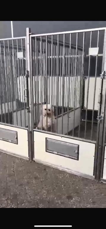 Honden kennels roestvrijstalen beschikbaar voor biedingen