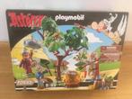 Playmobil Rom-007 Asterix 70933 Panoramix met toverdrank, Kinderen en Baby's, Speelgoed | Playmobil, Verzenden, Nieuw, Complete set