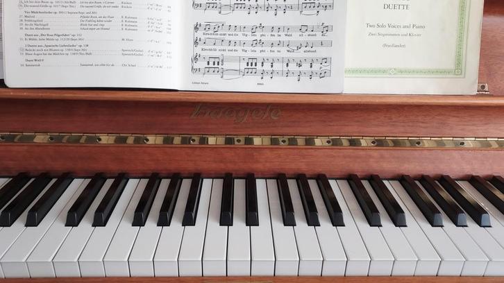 Haegele Piano, Muziek en Instrumenten, Piano's, Zo goed als nieuw, Vleugel, Zwart, Ophalen