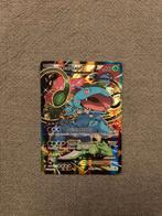 Venusaur fullart (XY123 PROMO), Hobby en Vrije tijd, Verzamelkaartspellen | Pokémon, Ophalen of Verzenden, Zo goed als nieuw