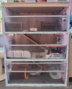 Handgemaakte cavia flat, Dieren en Toebehoren, Ophalen, 110 cm of meer, Zo goed als nieuw, 90 cm of meer