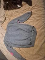 Dames truien, Kleding | Dames, Ophalen of Verzenden, Gedragen, Maat 38/40 (M)