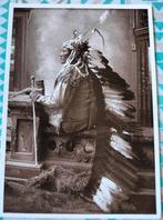 Ansichtkaart Indiaan Sioux Chief RAIN-IN-THE-FACE, Ongelopen, Ophalen of Verzenden, Sterren en Beroemdheden, 1980 tot heden