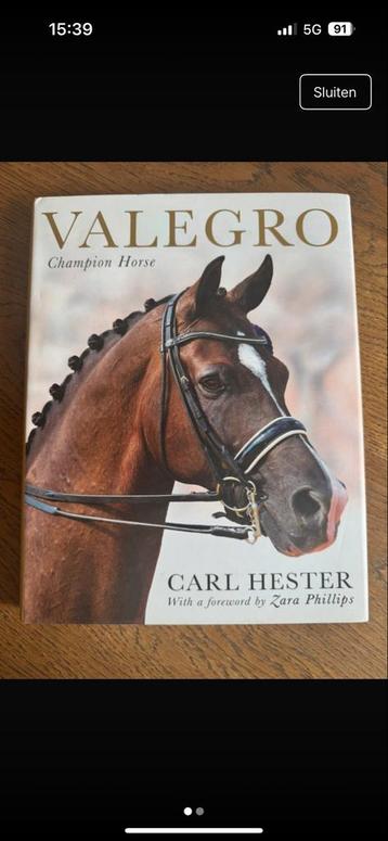 Valegro - Champion Horse, Carl Hester beschikbaar voor biedingen