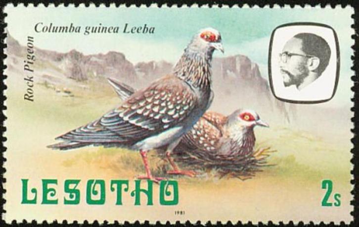 LESOTHO 18 - Dieren: vogels (duif), Postzegels en Munten, Postzegels | Thematische zegels, Postfris, Dier of Natuur, Ophalen of Verzenden