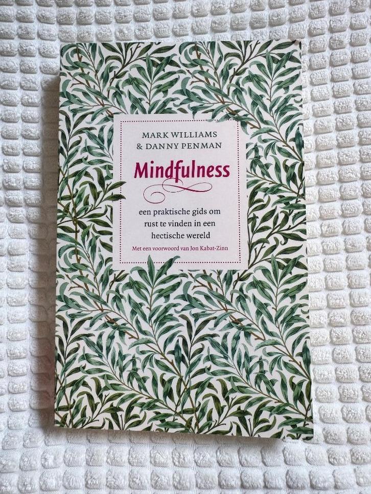 Mark Williams - Mindfulness, Boeken, Psychologie, Zo goed als nieuw, Ophalen of Verzenden