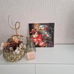 Handgemaakt schilderij - Papegaai - 40x40 cm, Ophalen of Verzenden, Nieuw