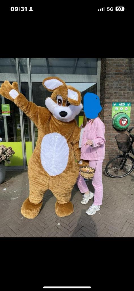 Paashaas pak huren € 30,- paashaaspak haas huur pasen pak, Diversen, Pasen, Zo goed als nieuw, Ophalen