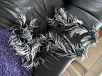 Mooie nieuwe veren boa zwart/wit, Ophalen of Verzenden, Zo goed als nieuw, Maat 46/48 (XL) of groter, Sjaal