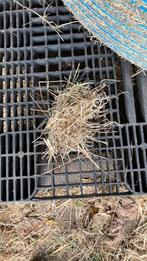 Duits weidehooi/paarden hooi laag in suikers, Ophalen of Verzenden, Vee