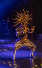 Thema Kostuums -8 stuks- voor bijv Masked Singers, Ophalen, Zo goed als nieuw, Pak of Jurk