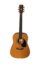 Cort 5-snarige gitaar - licht Beschadigd, Ophalen, Gebruikt, Western- of Steelstringgitaar