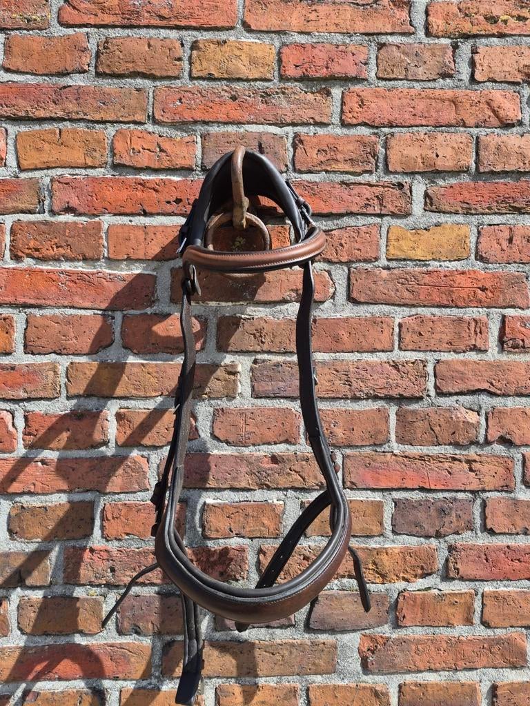 Diverse bruine hoofdstellen,  teugels en singel (o.a Presteq, Dieren en Toebehoren, Ophalen, Dressuur