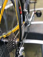 Pinarello FP TEAM, Carbon, Zo goed als nieuw, Meer dan 20 versnellingen, 53 tot 57 cm