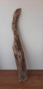 prachtig drijfhout, Ophalen