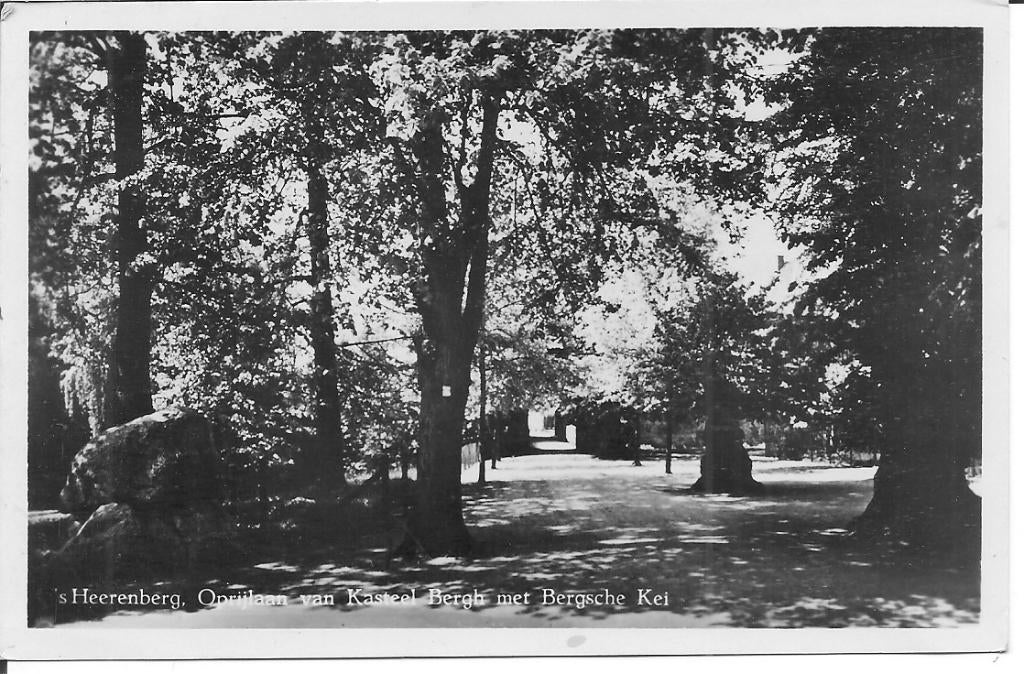 's Heerenberg  Oprijlaan van  Kasteel Bergh  Bergsche Kei., Ophalen of Verzenden, 1940 tot 1960, Gelopen, Gelderland