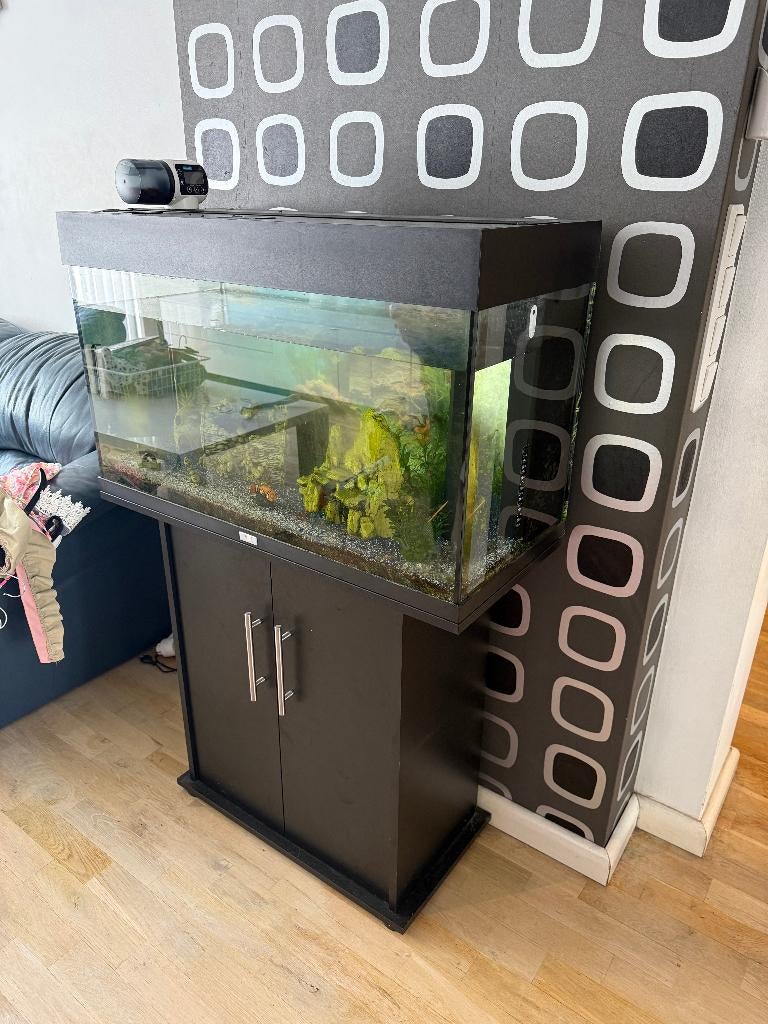 aquarium, Dieren en Toebehoren, Vissen | Aquaria en Toebehoren, Ophalen, Gebruikt, Inclusief toebehoren, Gevuld zoetwateraquarium