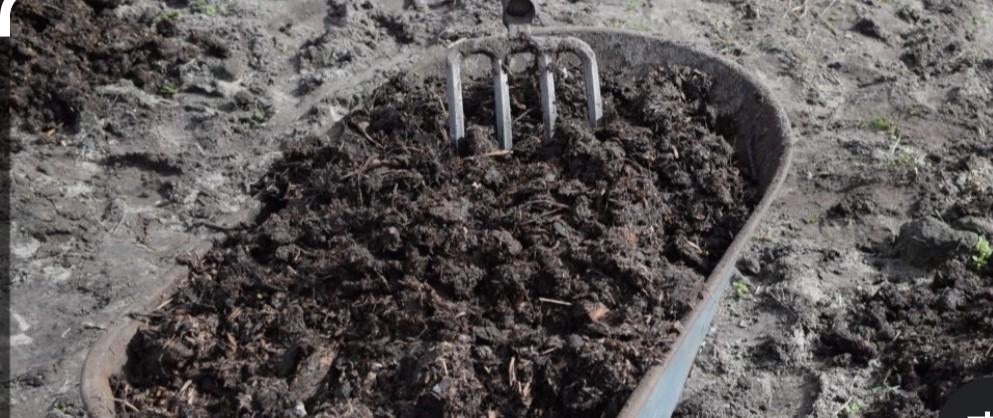 Op zoek naar organische mest voor tuin, Ophalen of Verzenden