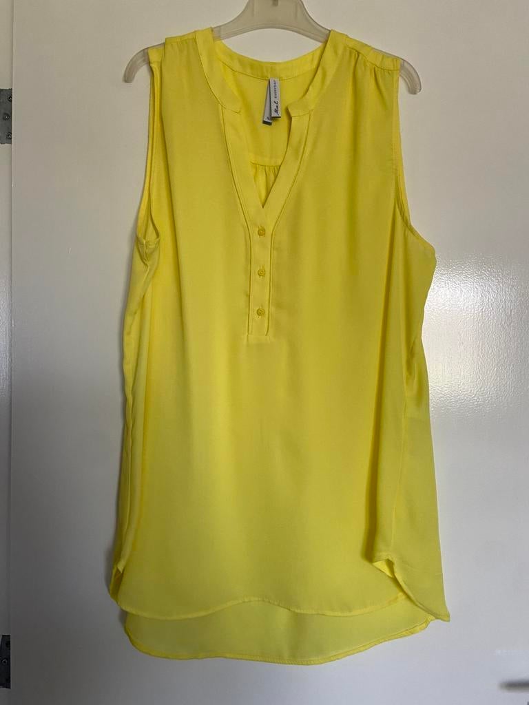 Topjes, Kleding | Dames, Tops, Ophalen of Verzenden, Zo goed als nieuw