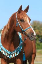 Mooie Arabische showset NIEUWSTAAT!, Dieren en Toebehoren, Ophalen of Verzenden, Nieuw, Dressuur