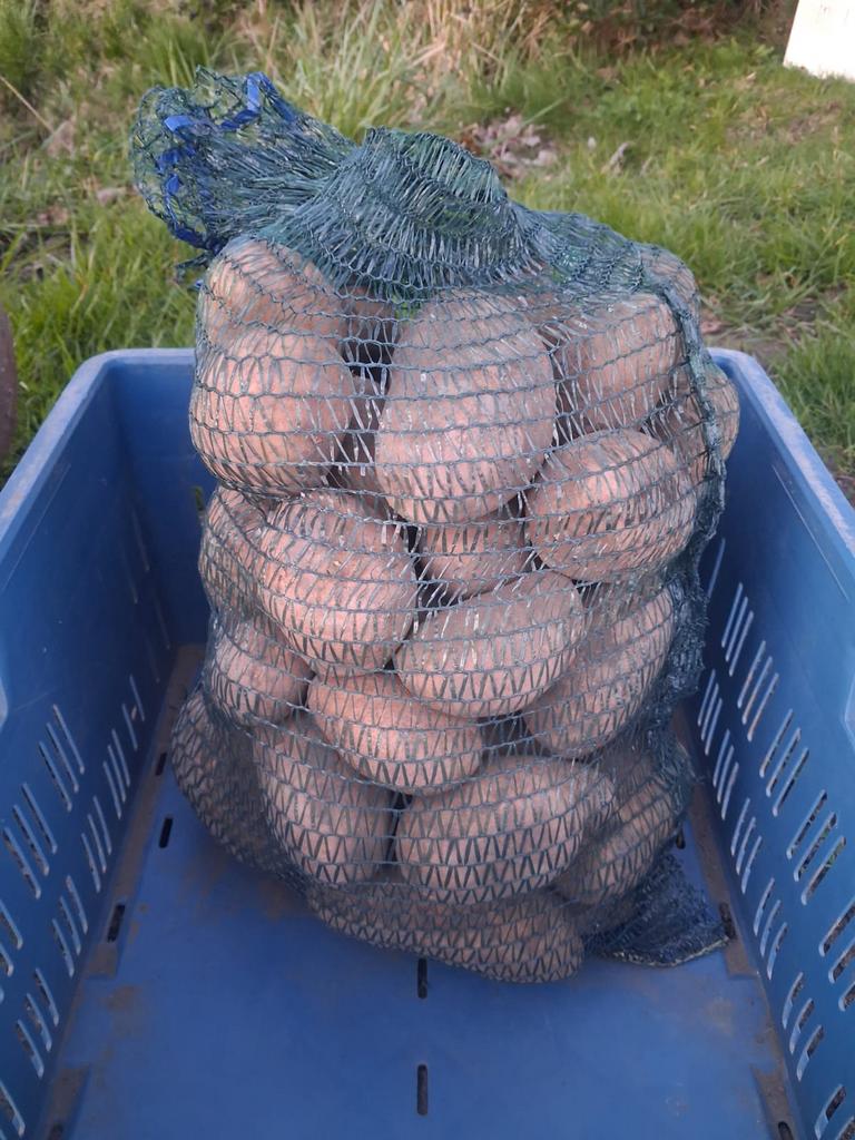 10kg aardappels, Ophalen