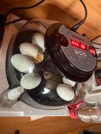 Broedmaschine, Meerdere dieren, Kip