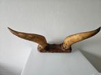 Decoratieve Stierenhoorns op Houten Plaat, Ophalen of Verzenden, Gebruikt