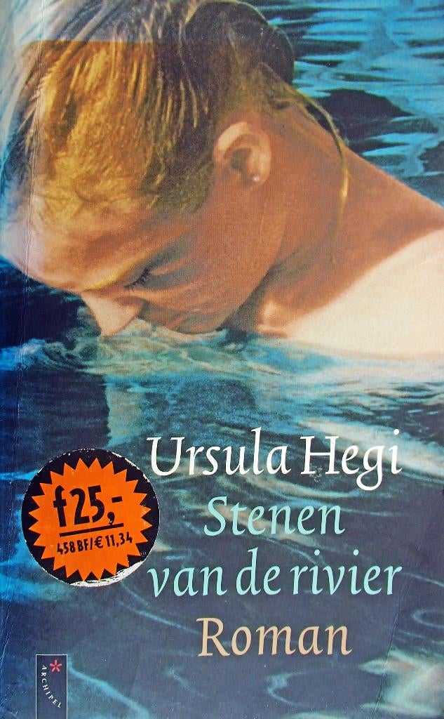 Ursula Hegi - Stenen van de rivier, Boeken, Romans, Zo goed als nieuw, Europa overig, Ophalen of Verzenden