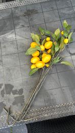 Kunstbloemen/ planten citroen, Ophalen, Zo goed als nieuw